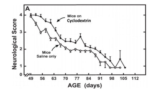 Cyclodextrin shown to extend lifespan by almost 10% in mice